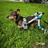 Чудесный мальчик Митя из приюта ищет семью.