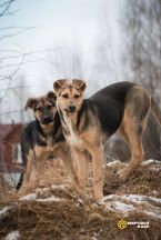 image-26-02-25-08-12-1