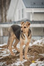 image-26-02-25-08-12