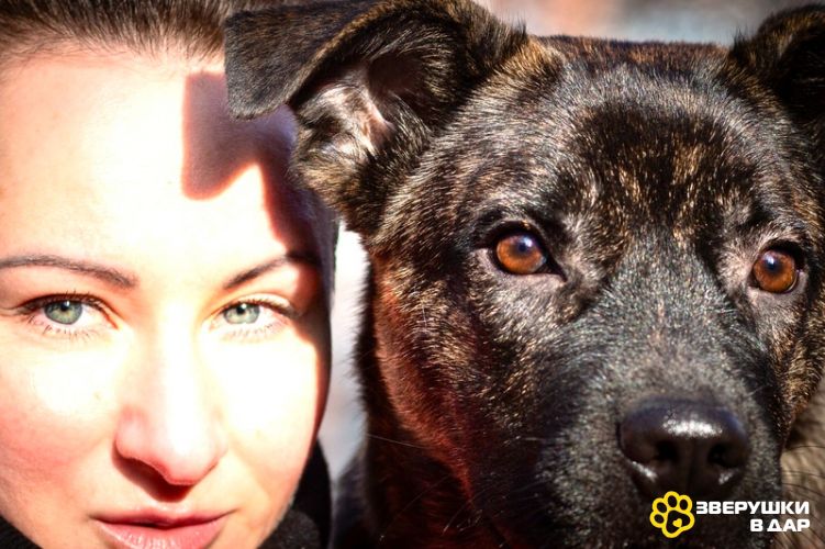 Джессика ищет дом