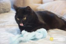 photo_2025-03-25_21-49-04