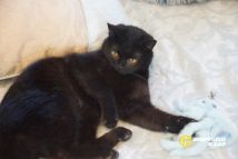 photo_2025-03-25_21-49-06