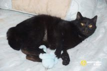 photo_2025-03-25_21-49-08