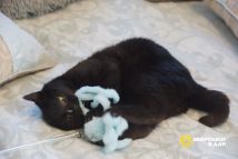 photo_2025-03-25_21-49-10