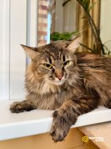 Изображение WhatsApp 2024-09-17 в 13.29.07_5230cca7