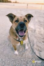 0b61760d-0182-44f8-8d2c-48f029c3f62e