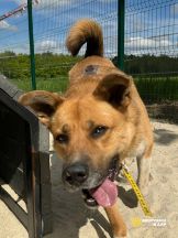 a7aae74a-17bc-4dc1-8bdf-a4daaea7fe61