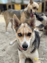 photo_2025-08-12_03-28-36