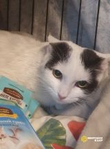 photo_2025-07-19_12-53-23