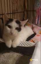 photo_2025-07-19_12-53-24