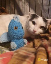 photo_2025-08-10_10-08-36