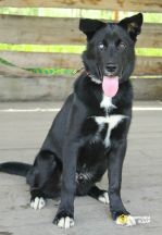 4-79VNTCXld7NIeMG-mEDa57lae1SE5Q4zXFDR1RmdG144yrAm2__TZH2RQtM_rpI_1IZWJxUH-0AqQ-D16rRm6X