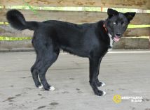 hiPhawcERYN6AaVFntCrW23y1wOKDLrgaK-oLadpIxfnujUqU4JlHaPgKL6Pfe2yxJXsnRgmXtjUH84wnwY4vYkp