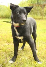 KdYhKyAVdDgFH8OlE_H_swg0WC43_fmtW-s8FQ5meM6e4r2l--poi-S9QuAcg4N0SsnteZIMe4xa7abMzr3oY0eg