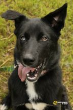 WPWQbBcx_r0bDkyypix2z4YT2ekq-fnZzShYR8qzsJYEjFSGfG-rZEK56LlL3uoPMHfI32ydnnAUHKasRkhZzmOB