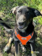 7YsRkgCn79Az2hef1DXDnfv8IoazJOrGioodnSsDwwyJDe7PEN-NMWRKshikfHLzIEGwi0iVqFE3HfjNloHJNmJO