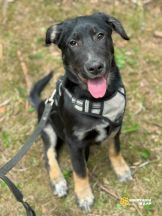 9nG_wY-ojCEF1QnrMbk2z4ZPmChOT5t46uBoqTIqXnHK_pyYQGaUsy4_DqopdwifLJ93Q_Rt2eSGi4IH7emHY4y0