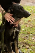 AOHmvGKElfm-3aY2r7mf1YjDyRf6CYRXetEHUo34zOypowbUVESphD6p92t3WL3owCsNfiojF1gz_3OWCJGx3nFV