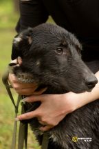 NNuZ820pvUUQLYjrqDiTCqeEJBLDbe18ZtV2Lsfzo66_2NRonkiyW43HNhNxraR75Q99vC_irRxlVhPmn-Oa1Q1Q