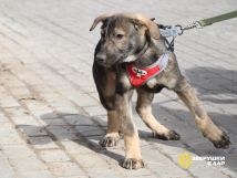 9uI8N_BaGtUTTBGeOo8elRIVDz1RLalZHOAHV4MwEZpiatLD73r8oJ24ZAU-VwShJ9tbUFZjRihk5sUyx5pXtkjg