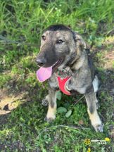 GP0OahrewWSqusnZbPvqDNHSengROAqpWKCAFzUey0qEKh3t-y4zyETF8d23fM-N4v1bKbbvUtbbp-cCEzIrMrjj