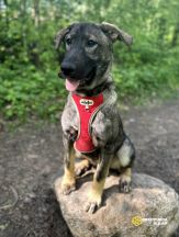 SCRlh73smRSJW2QOMw0xO4FTqwi6npBYHAdq-ana_asF52iOKQxSc1ZDd5fIOfgVmypzcn2wSvXx8JwTRQmLh-Dl