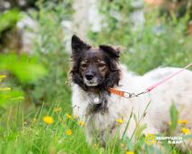 !!!Новые Улыбка (13)