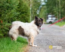 !!!Новые Улыбка (14)