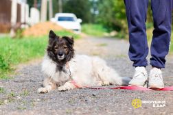 !!!Новые Улыбка (1)