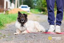 !!!Новые Улыбка (1)