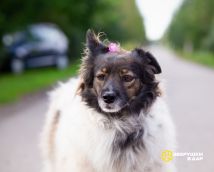 !!!Новые Улыбка (8)