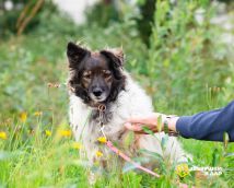 !!!Новые Улыбка (9)