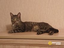 046cd2a8-1f64-4c41-867d-101a23036774