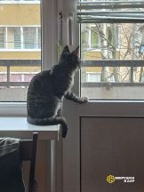 !!!!Филлип (10)