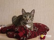 !!!!Филлип (11)