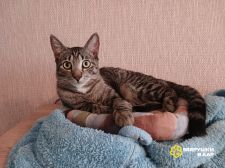 !!!!Филлип (6)