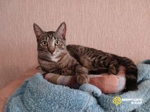 !!!!Филлип (6)