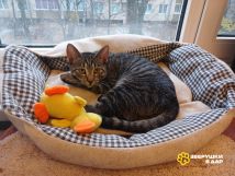 !!!!Филлип (9)