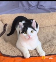 Screenshot_20251024_224000_com.google.android.apps.photos~2