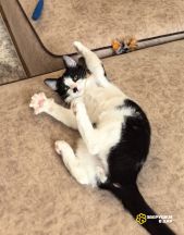 Screenshot_20250825_160844_com.google.android.apps.photos~2