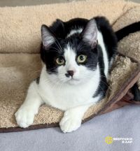 Screenshot_20251021_144848_com.google.android.apps.photos~2