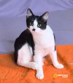 Screenshot_20251027_114720_com.google.android.apps.photos~2