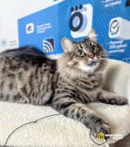 IMG_20251114_140709~2