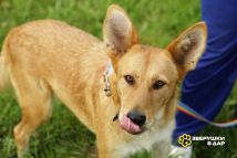 4B25n8TGTdbX39jb0XbcyGgFQmPrrxMuWKoCyjimTxwbdweMAvmy4kHErIX130hK55p7uY-t9QacUA4BhDh8aMJk