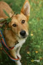 bm8b90MT1x9bZxYvPPvjHitlkCYaBop9BFWxjVxrczyX4ptyELt8x17oyDs-rk4pxuYvS9GfXsXatyDZlVvZJTgo