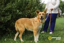 NFSG45e1mt2xNFyjyuhi1d96cmCqZ6TS392KdQLDEhjzHRzsyYThNwJOT_H28mPwLEQ5VZXdkyZx_baHivFD-86I