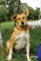 OShLfUN2KkKpAwKgBWzgJMYFlnnCpEudUN4w_nbffK36Ifwm8AByJJ_JUIwRrHMHbRBF9L5-Rtnm1RaryjWN4SeK