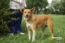 uiwJj2SyhjfWYooZuvOBautc2xdQ6B8c78incUCyvV0rsqehcN0u42qEmaM0bIWnBzwgF6TobtwrcNntxPEJPYxF