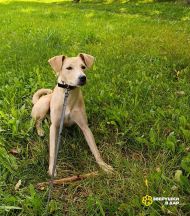 2785e6f5-1f0c-403c-81c7-ba300189ef49