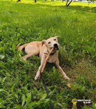 6vFwOrBvbxr6IXbPvgtDT0vESUV-kDczYymvdgy1X6M451hI2Y8ltNcQt2hJLOjjTxwIh1DSMIWpKHF34FeME2cr